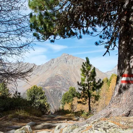 Appartement Thurner *