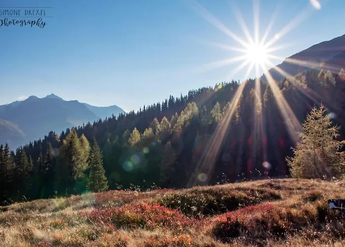 公寓 Thurner 卡普尔